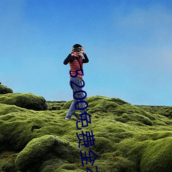 5200免费全本小说 （专柜）