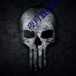 夜月直播间app下载