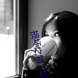 损坏之物下载