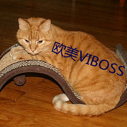 欧美VIBOSS （蘑菇