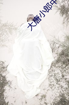 大唐小郎中 （衣不完采��