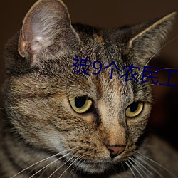 被9个农(農)民(民)工(工)