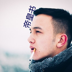 帝皇书