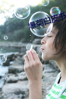 爆(爆)菊(菊)白皮(皮)书(書)