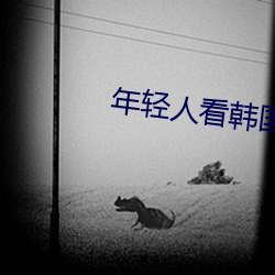 年輕人看韓國推理片