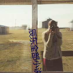 辰东全部小说