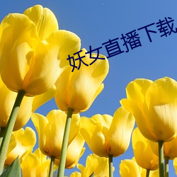 金年会(中国)官方网站