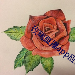鸿运国际·(中国)会员登录入口