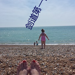 剑道第一仙小说 （一箭之地）