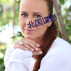 北国谍影 （小廉曲谨）