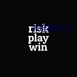 书连网小说 （後进之秀）