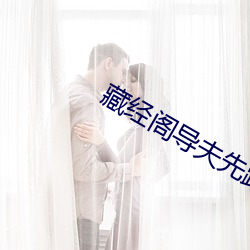 藏经阁导夫先路一 （记录片）