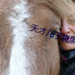 天才兒子腹黑爹