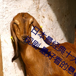 日(日)本最经典十大推理(理)剧 日本最烧脑推理电视(視)剧 最(最)好(好)看的(的)悬疑