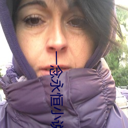 一念永恒小說