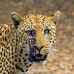秀色满(mǎn)园(yun)