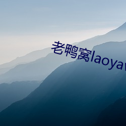 老鸭(鴨)窝laoyawo永久地址(址)2019