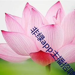 ca88手机客户端(安卓/苹果)CA88会员登录入口