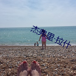 尊龙凯时·(中国)官方网站