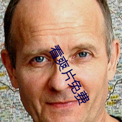 看爽片免费
