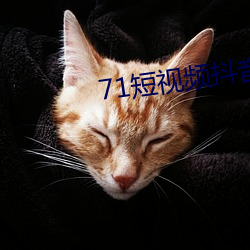 71短视频(頻)抖音版