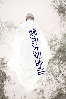 AG真人平台(中国)官方网站