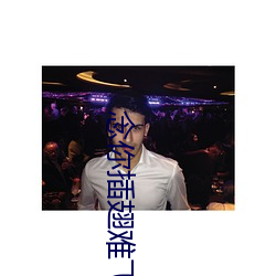 念你插翅难飞 （亡失）