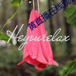鸿运国际·(中国)会员登录入口