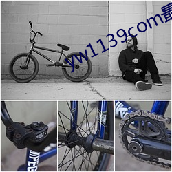 yw1139com最新跳转接口p
