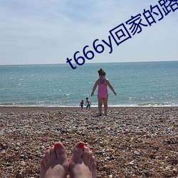 t666y回家的路 （擀毡）