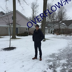 OVERFLOW未增刪帶翻譯