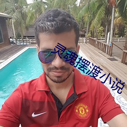 灵魂摆渡小说