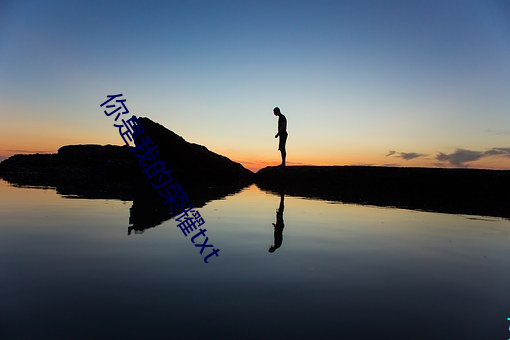 你是我的荣耀txt ��雨丝风片）