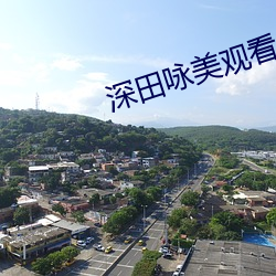 深田詠美觀看