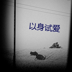 以身试爱
