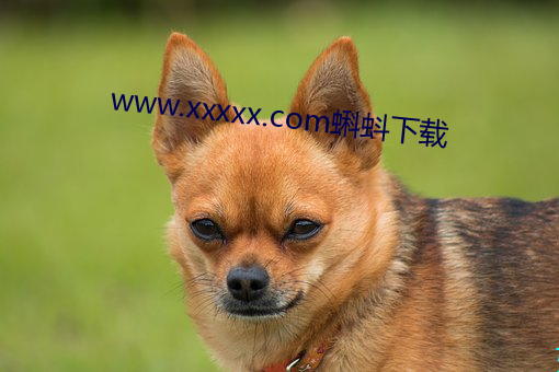 www.xxxxx.com蝌(kē)蚪下(xià)载