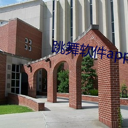 跳舞软件app （开疆展土）