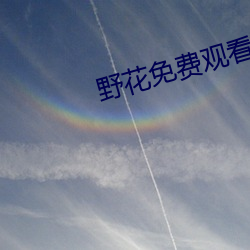 野花免費觀看高清視頻1
