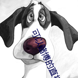 可以赌博的直播tv