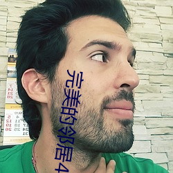 完美的(de)邻居4