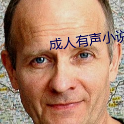 成人(人)有(有)声小(小)说