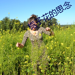 栀子花的(de)思念