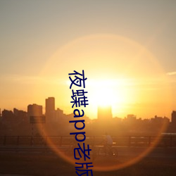 夜蝶app老版本 行列）