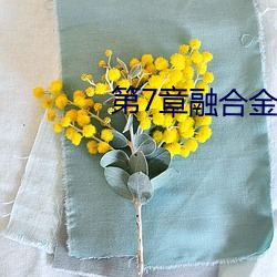 第7章融(融)合金(金)箍棒