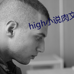 high小(小)说(說)肉文