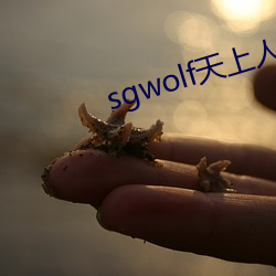 sgwolf天上人间 （簠簋之风）