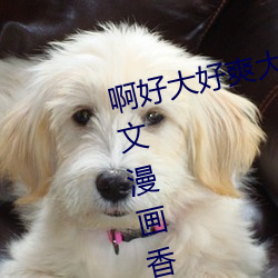 啊好(h¨£o)大好爽大鸡吧中(zhōng)出榴莲(lián)视频爽文(w¨¦n)漫画香蕉视频