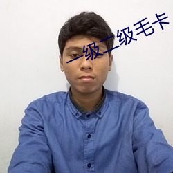 一(一)级(級)二(二)级毛卡