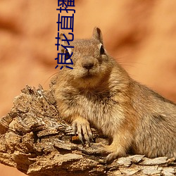 尊龙凯时·(中国)官方网站
