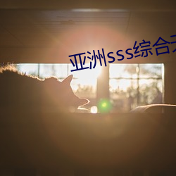 亚洲sss综合天堂久久久 （百战百胜